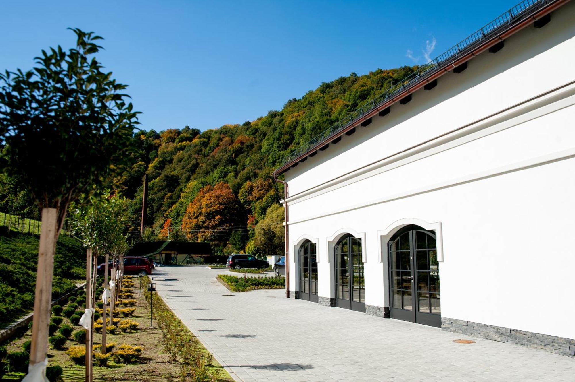 Hotel Palac Jugowice Wałbrzych Esterno foto